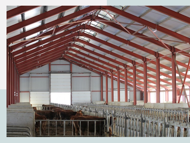 Строительство коровников в Минусинске