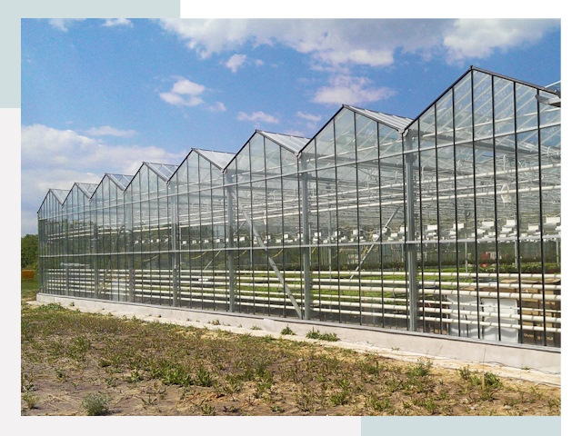 Строительство теплиц в Минусинск от 610 руб. за м²