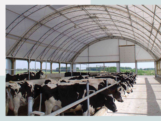 Тентовые коровники в Минусинске